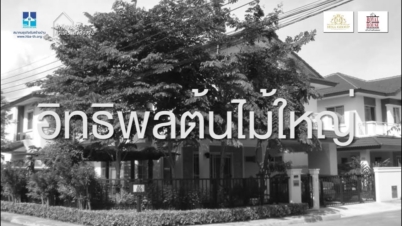 ปลูกต้นไม้หน้าบ้าน ฮวงจุ้ย New 2022 มหัศจรรย์ ศาสตร์แห่งฮวงจุ้ย ตอนที่ 3 : อิทธิพลต้นไม้ใหญ่