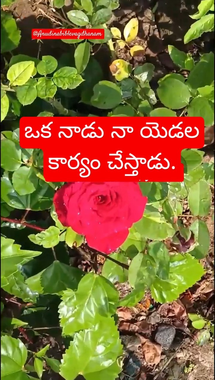 ✝యేసయ్య ఆదరణ📿 - ShareChat