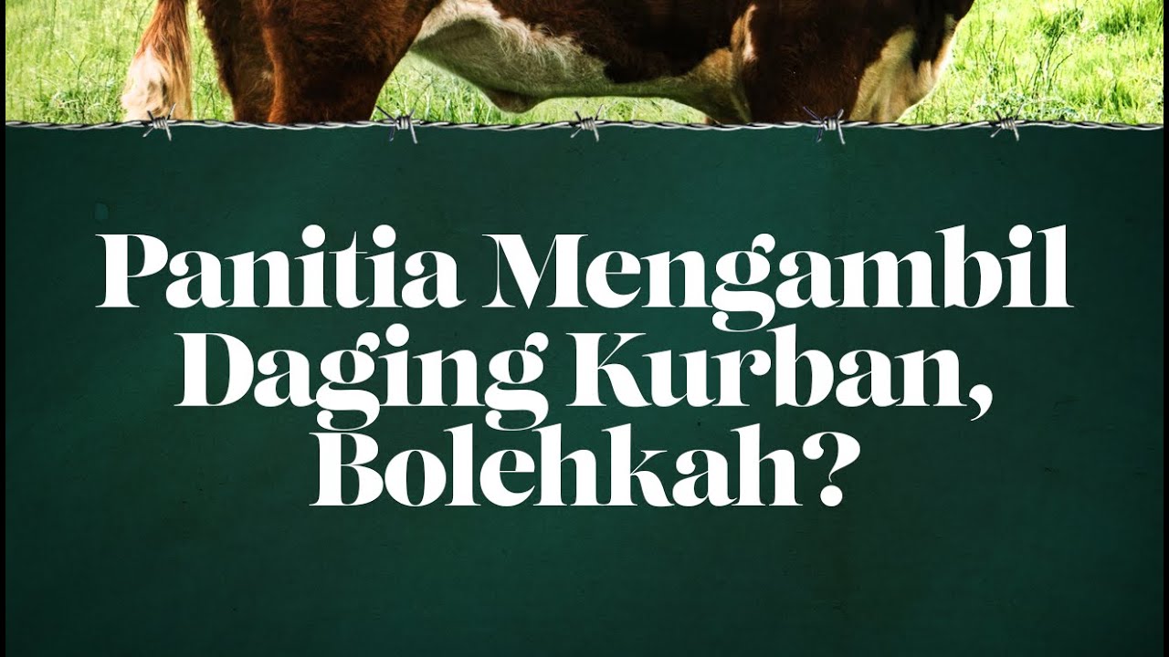 ⁣5. Panitia Mengambil Daging Kurban, Bolehkah?