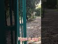 Угадайте куда я поднимаюсь?🤔 Конечно же смотреть на красоту🥰. Смотрите в следующем видео🙋🏻♀️.