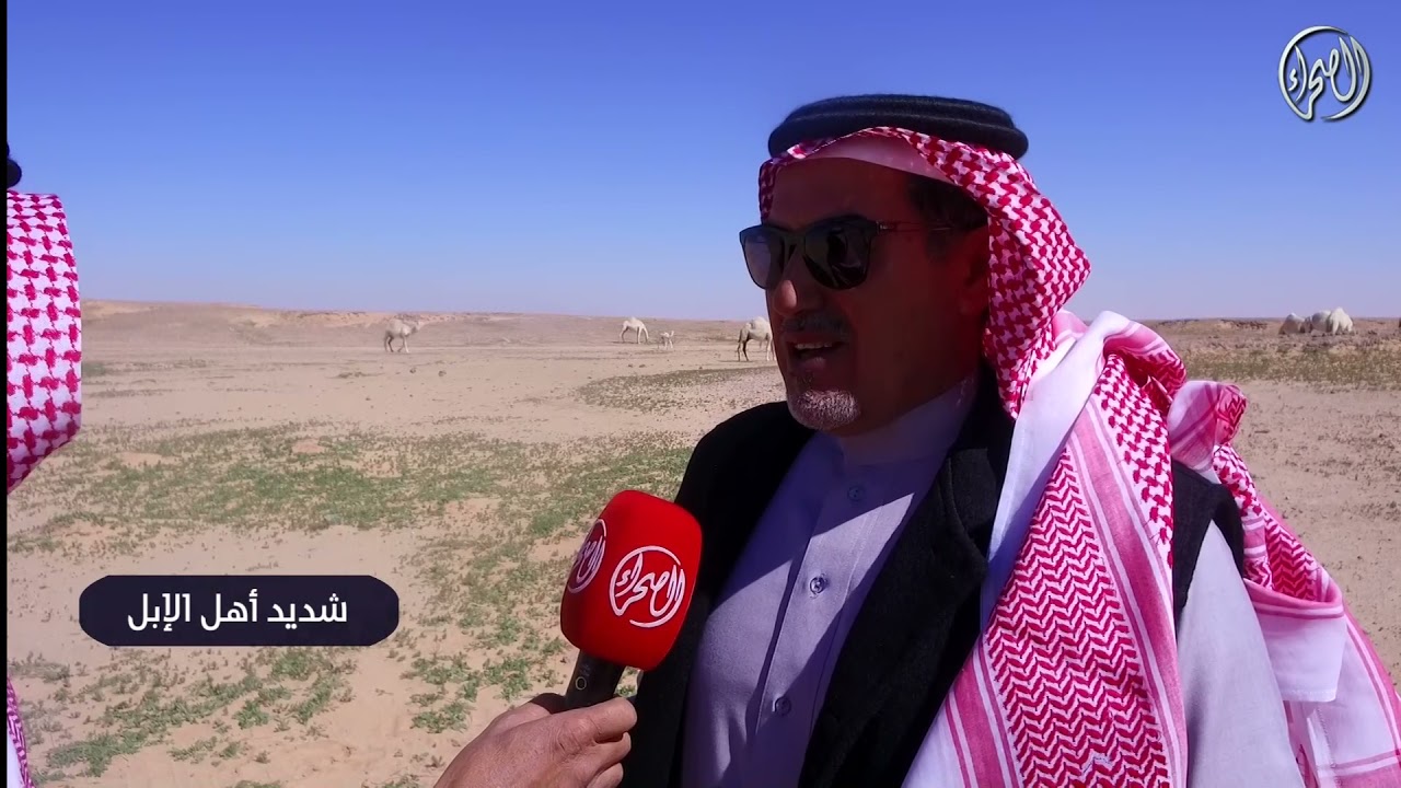 شديد اهل الابل محمد الجافل