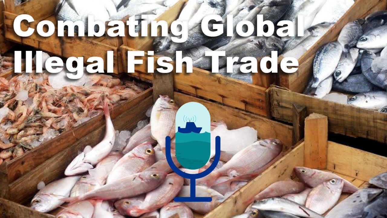Making Seafood Imports Safer by Reducing Illegal Fishing