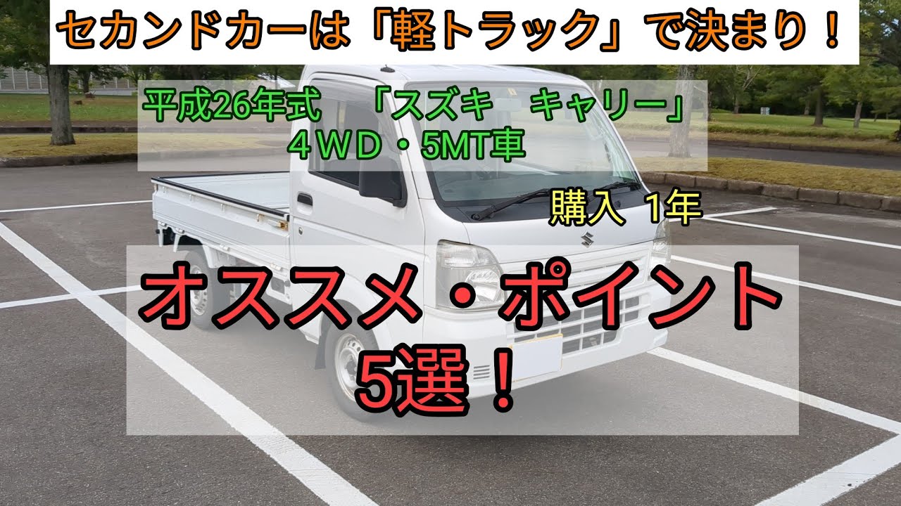 セカンド・カーは「軽トラ」で決まり！？ 購入1年。 オススメ 
