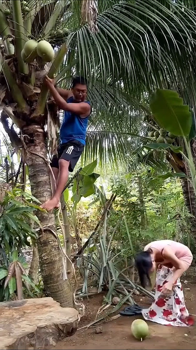 mau ketawa takut dosa video lucu bikin ngakak hiburan warga 62 viral video funny videos funny shorts