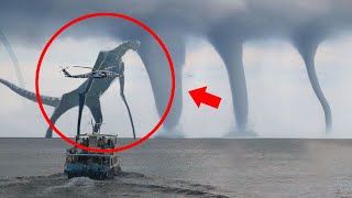 Mysterious Giant Creatures Caught On Camera