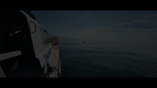 Hms Untiring 55M And Rms Medina 65M