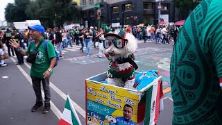 Osito, el perro rescatado que conquista corazones en el Mundial
