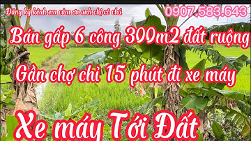 77) bán gấp 6 công 300m2 đất ruộng mặt tiền đường dal giá rẽ 115tr/1000m2,giồng riềng kiên Giang