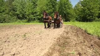 Le travail de la terre - Association provinciale du patrimoine agricole (APPAQ)