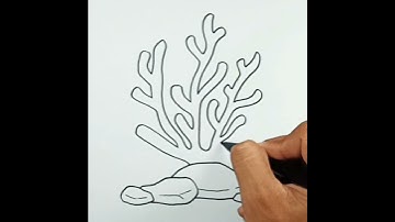 How to draw Coral #shorts