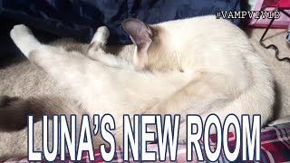 04292015 - Luna's New Room | Vlog #495