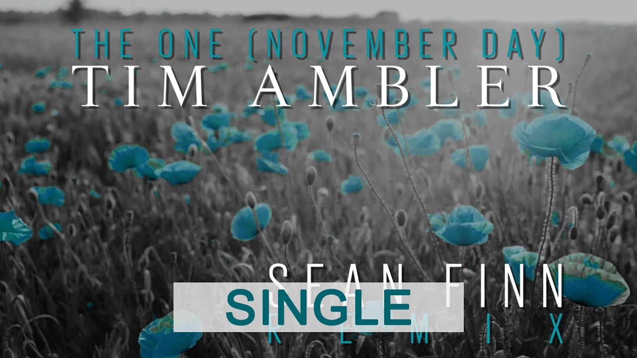 Tim Ambler - The One (November Day) (Sean Finn Remix) - YouTube