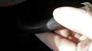 2012 Toyota Rav4 Coolant Hoses All of them..