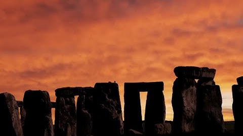 Introduction to Human Evolution | Wellesley on edX | Course About Video