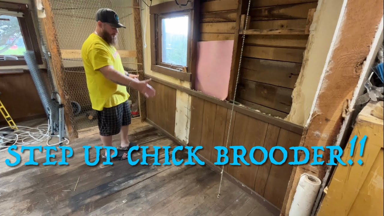 Step Up Chick Brooder!! How to make a chick brooder!! - YouTube