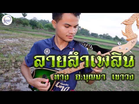 บรรเลงพิณ ลายลำเพลิน ทาง อ.บุญมา เขาวง คีย์ Gm 110 BPM | สตีฟ ฐิติวัสส์ ทองอ่อน