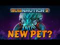 Can we capture the Collector? SUBNAUTICA 2 LIVE 🔴