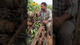 Desi Jugaad Machine 🥒Cucumber Sorting in One Go 🔥🤯| Punjabi Kisan Innovation #shorts #farming #kisan