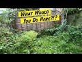 Overgrown NEGLECTED Area Lawn Clearance | Homeowner SHOCKED At How Quickly This Yard Was Cleared