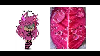 Pembe?![Mishel]?