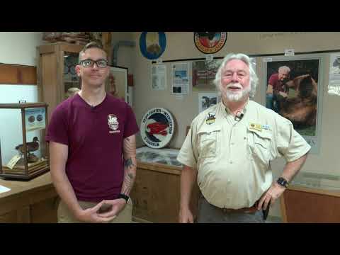 Walk on the Wild Side with KTVL - Wildlife Museum