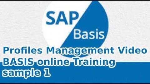 Sap Basis   Profiles Management Video  BASIS online Training sample 1
