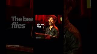Bumblebee #selfdisciplinetips #getyourselfup #grindmindset #dailymotivationdose #riserebuild#viral