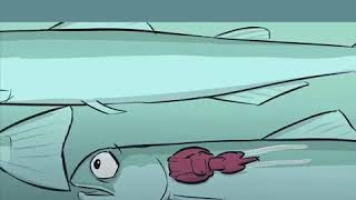 Salmon farms spread sea lice
