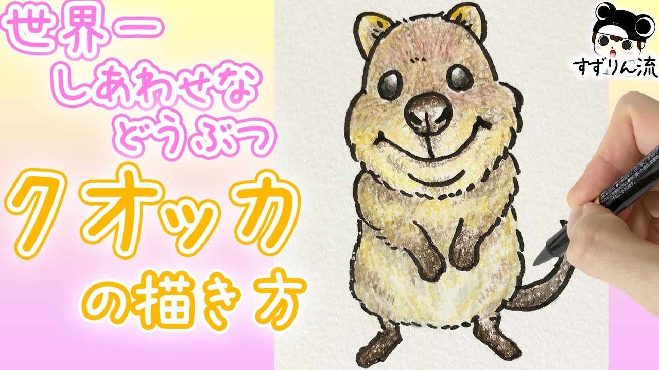 世界一しあわせな動物 クオッカの描き方 可愛い動物 Youtube
