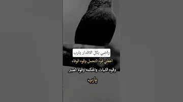 راضي بالاقدار يارب اكسبلور 