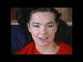 Capture de la vidéo Björk : Interview - Spike Jonze Director Series Clip 2003
