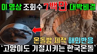 이 영상 조회수 7백만 대박 비결, 한국 전통 온돌 시공 제작 과정 해외반응, 리액션 Reaction, 고양이 Cat 잠, 기절 Korean Heating System, Ondol