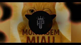 Meow Montage (Meow Meow Song)