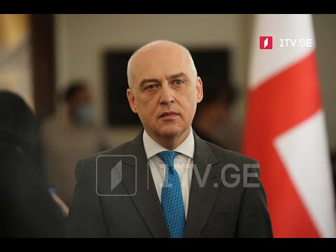 საქართველოს საგარეო საქმეთა მინისტრის ვიზიტი