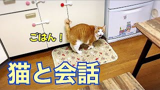 猫と言い合いをする母。