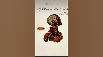 القران الكريم سورة ق أية 16