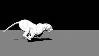 tiger Run 2