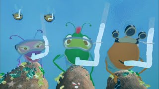 When You Wish Upon A Sea Star The Zula Patrol