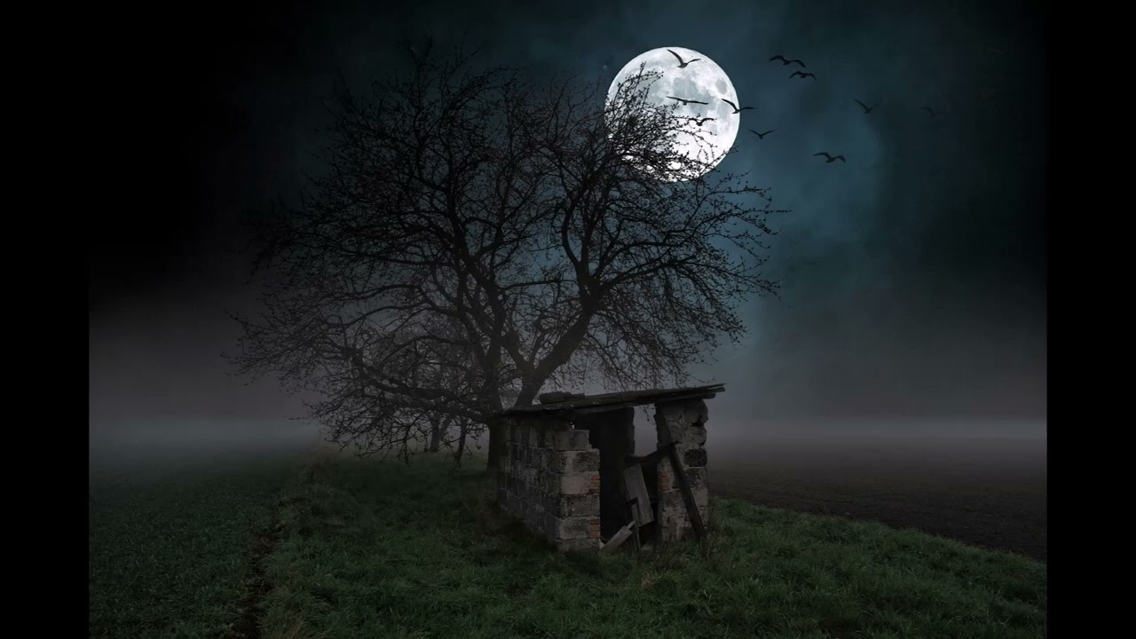 Watch The Reaper - Twilight Vibes : Slow Dark Ambient Music for Deep Relaxation and Meditation on YouTube Watch The Reaper - Twilight Vibes : Slow Dark Ambient Music for Deep Relaxation and Meditation on YouTube