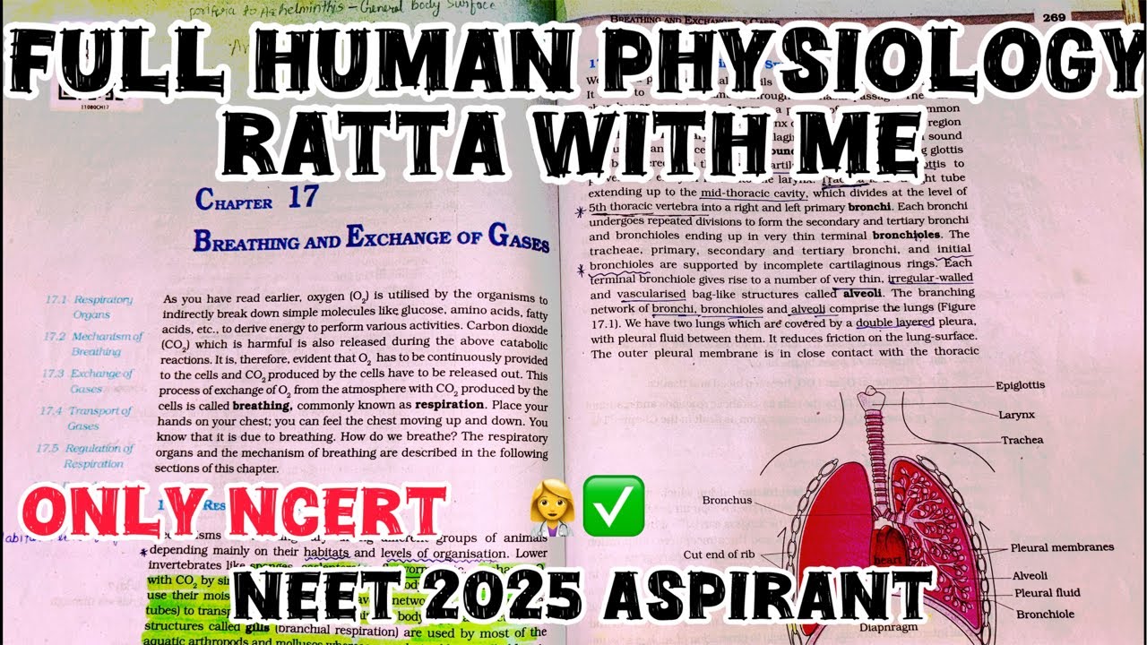 Full human physiology for neet /ratta with me /oneshot neet 2025 /human ...