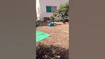 كم بدك لحتى تقعد هيك قعده تريح راسك شوي 