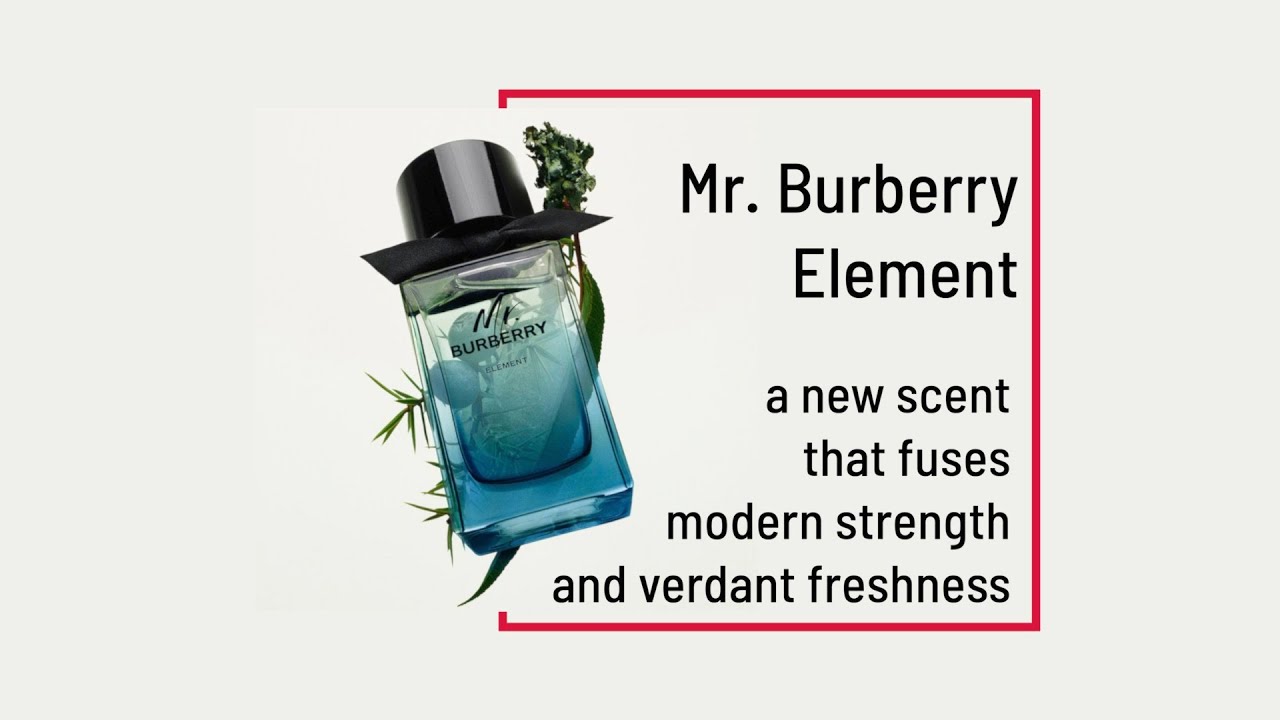 fragrantica mr burberry