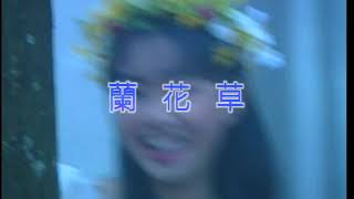 卓依婷-兰花草 (Zhuo Yi Ting-Lan Hua Cao)