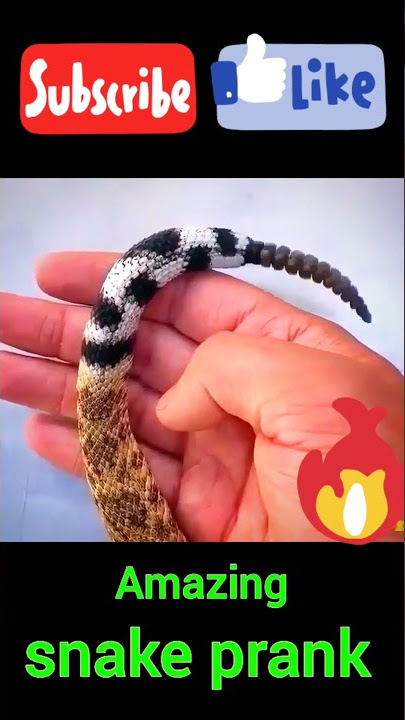 😱rattlesnake sound effects 😱 amazing snake prank 😱 @Viral video 😱😱😱😲😲😲🐉