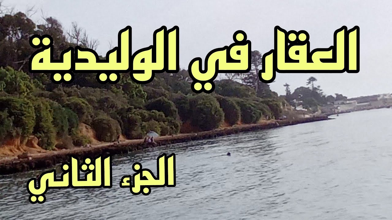 العقار في الوليدية الصراحة رخيص: الجزء الثاني