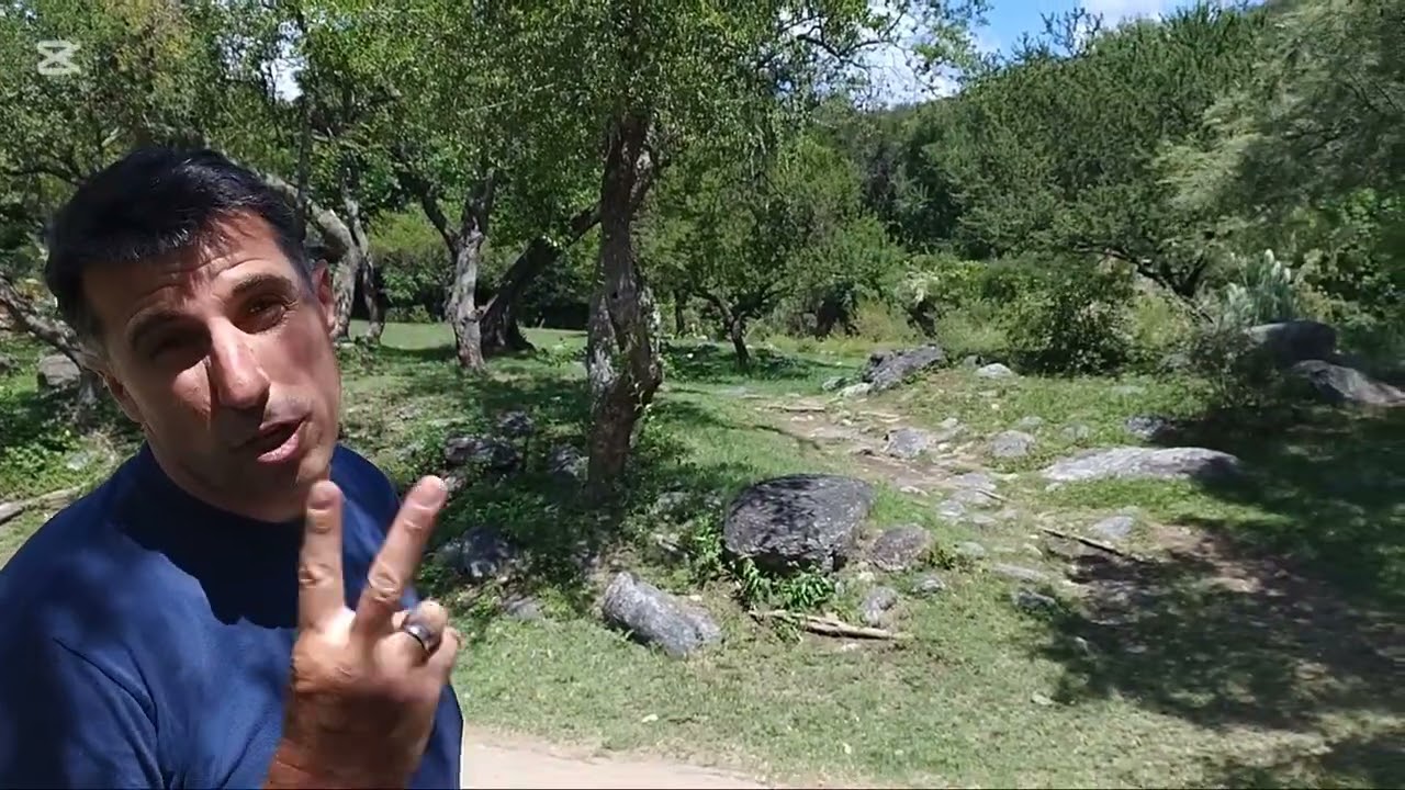 2026 - Día 8 - Avión no, Luyaba sí 