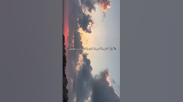 القارئ/ ماهر المعيقلي                                         #quran   #قرآن   #سورة_الأنعام