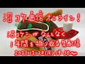 【12/20(月)19:30〜生配信】第一回沼コケ通信オンライン