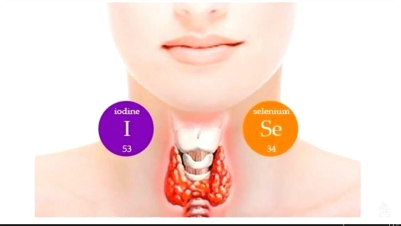 препарат стимулирующий секрецию гормонов щитовидной железы. гипотиреоз причины возникновения. функция йода в щитовидной железе. йод при гипотиреозе щитовидной железы. эндемический зоб щитовидной железы.