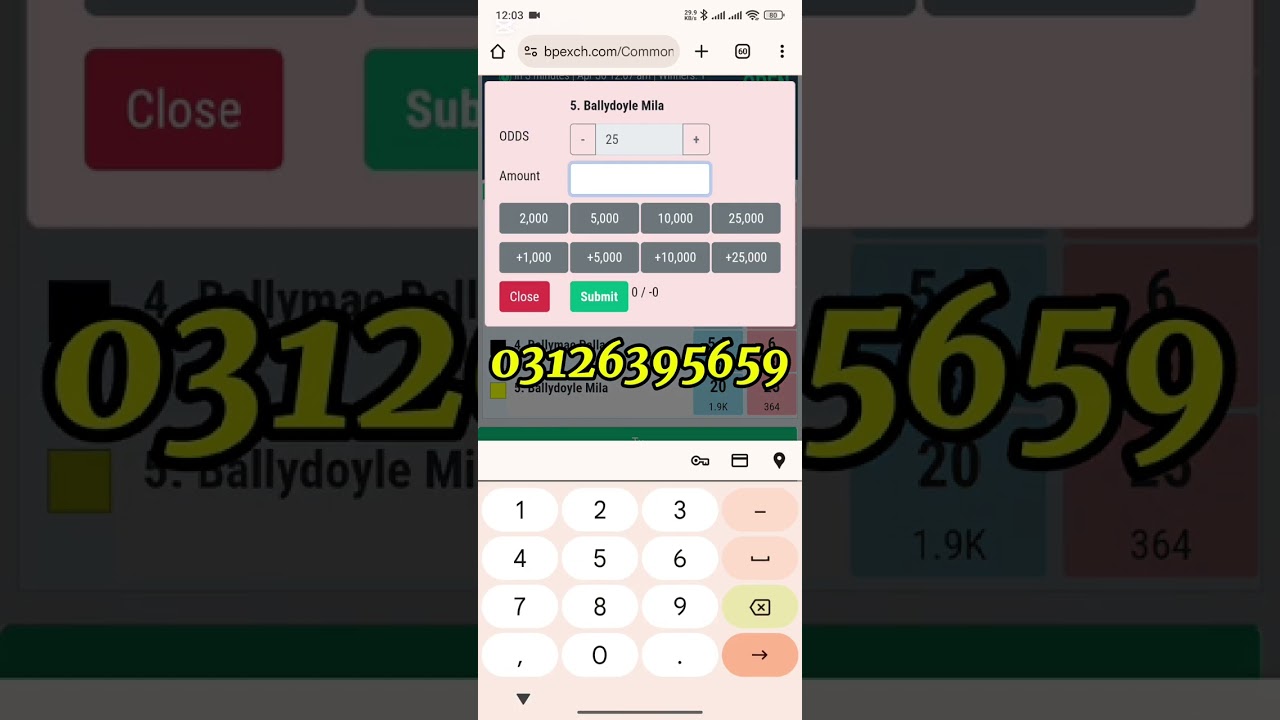 How to Bet on Greyhound and Horse Racing and Actually Win | betpro exchange &bpexch 